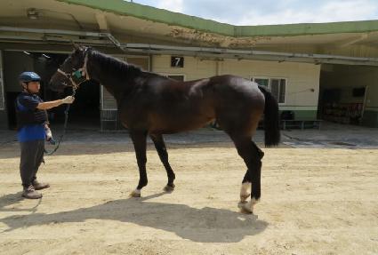 ����ī�Ϲ� ����