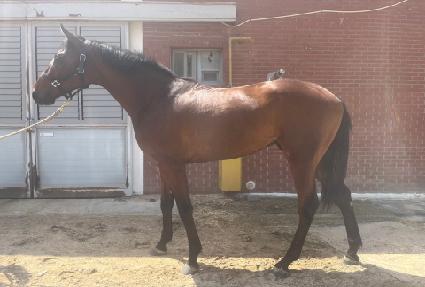 è������� ����