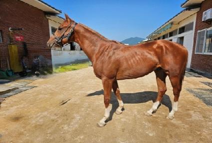 ������� ����