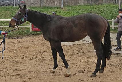 ����Ǯ��ũ�� ����