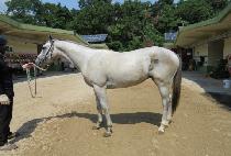 ���̾��Ʈ (RYAN BEAT) ����