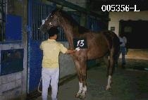 �ʱ��� (CHO GWANG SOK) ����