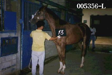 �ʱ��� ����