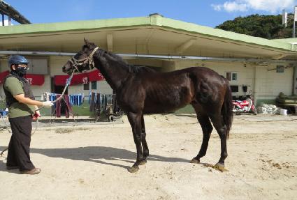 �÷��̸�ġ ����