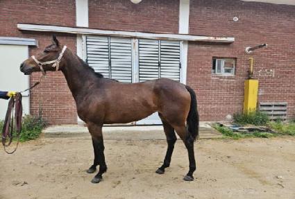 ������� ����