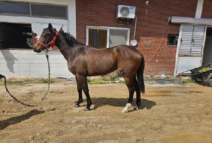 ������ ����