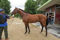 ��Ʈ���̸�ġ (PORTRAY MATCH) ����