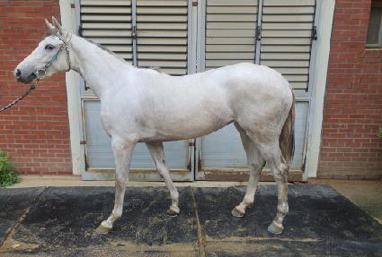 ���ɴ��� ����