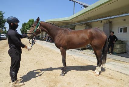 �ٳ������ ����