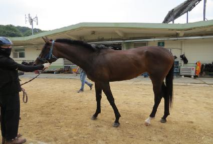 �ٳ������̵� ����