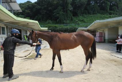 ũ�������� ����