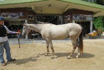 ����� (GOSANBONG) ����