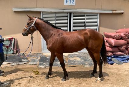 ���庼��� ����