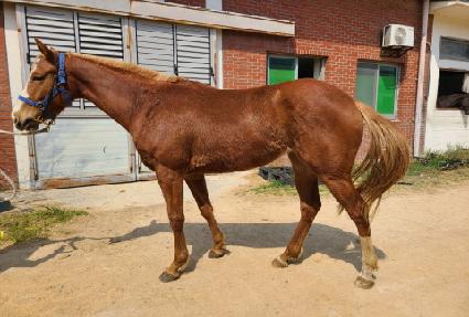 �����̱�Ĺ ����