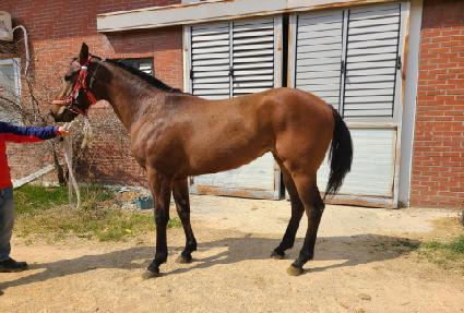 �������Ĺ ����