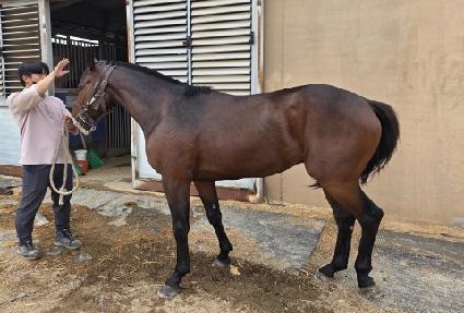 ���̴�Ŭ��ġ ����