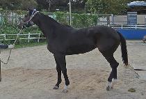 ����Ư�� (SEOBU TEUKSONG) ����