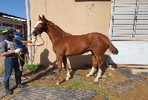 �´�����Ƽ (ONNURI PARTY) ����