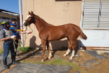 �´�����Ƽ ����