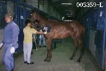 ���� (GEUM JANG) ����