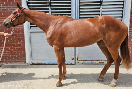 ����Ľ��� ����