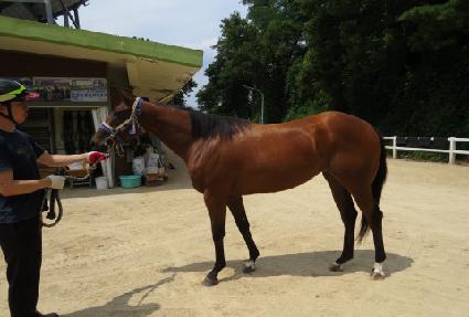 �ٳ�����ġ ����