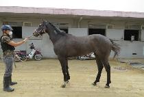 �����ѽ�Ÿ (YEONGWONHAN STAR) ����