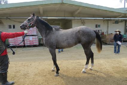 �ƿ����ĵ��� ����