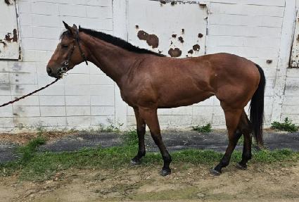 ��Ÿ���� ����