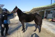 ��ǳ���� (JILPUNG WORLD) ����