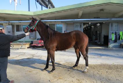 ��ǳŰư ����