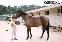 �޸� (GGOOM MO RI) ����