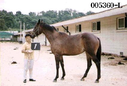 �޸� ����