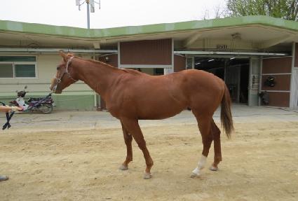 �۷ι��帲�� ����