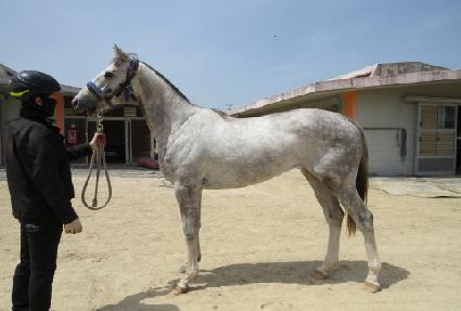 �������� ����