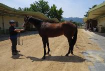 �ູ������ (HAENGBOKAN JILJU) ����