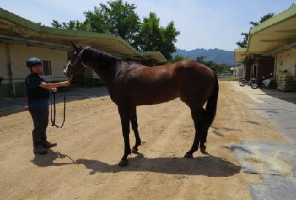 �ູ������ ����