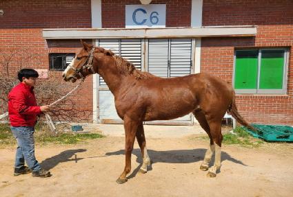 �Ŀ���Ʈ ����