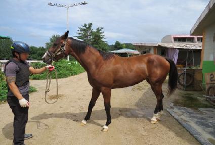 ���������� ����