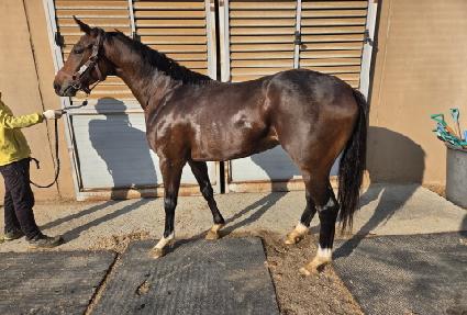 ���ѽô� ����