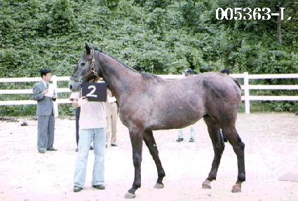 �Ͼ῵�� ����