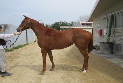 ���Ǵ� ����