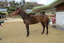 ��ó (RAPTURE) ����