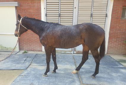 ���������� ����