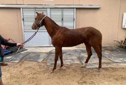 ��������� ����