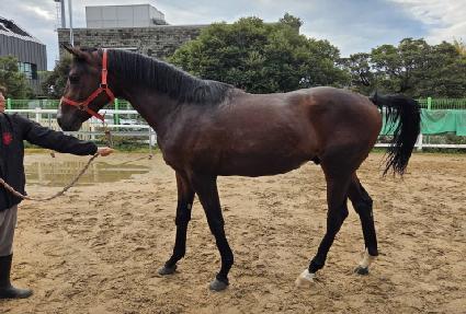 ����Ʈ�� ����