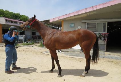 �������� ����