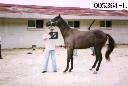 �ܵ����� ����