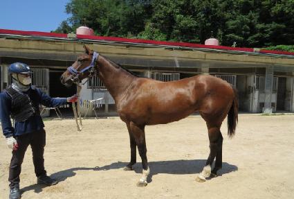 ��»����̾� ����