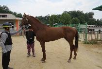 �ݾƿ�����Ʈ (GEUMA ON POINT) ����